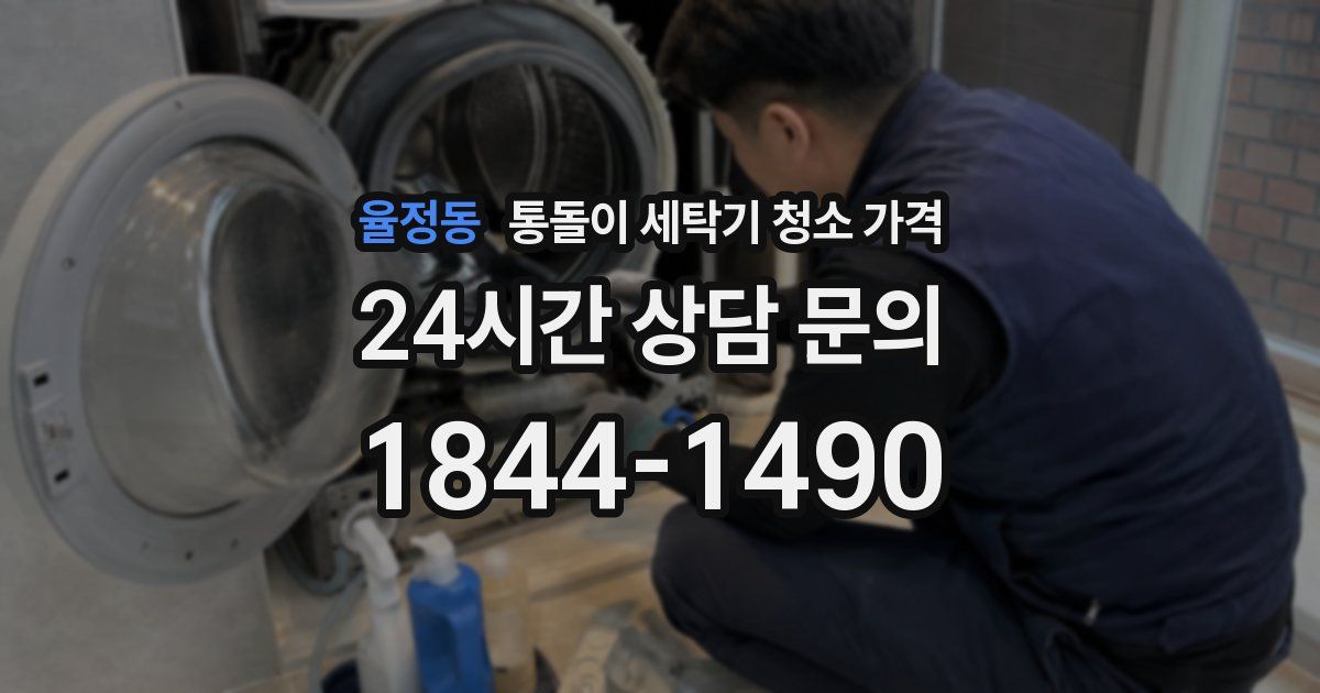 율정동 통돌이 세탁기 청소 가격