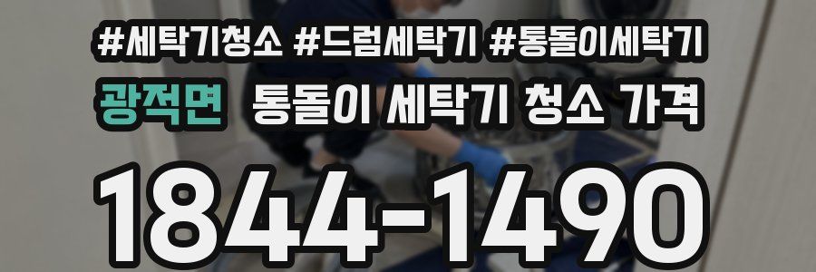 광적면 통돌이 세탁기 청소 가격