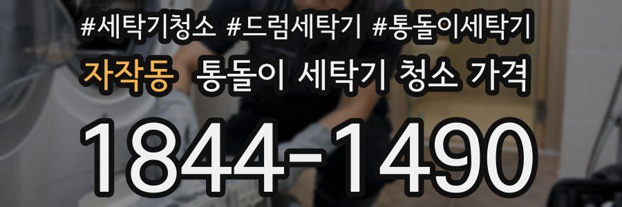 자작동 통돌이 세탁기 청소 가격