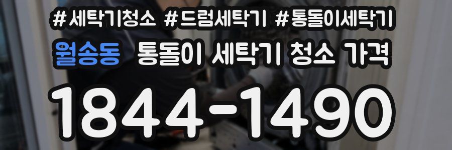 월송동 통돌이 세탁기 청소 가격