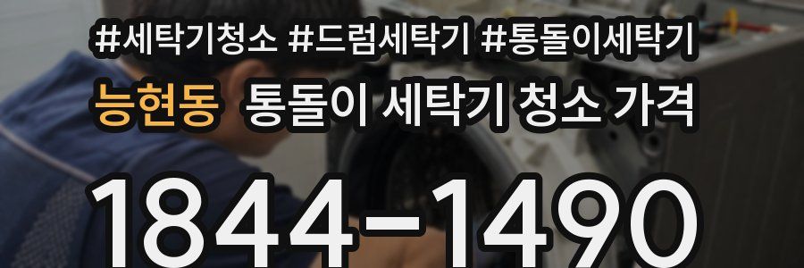 능현동 통돌이 세탁기 청소 가격