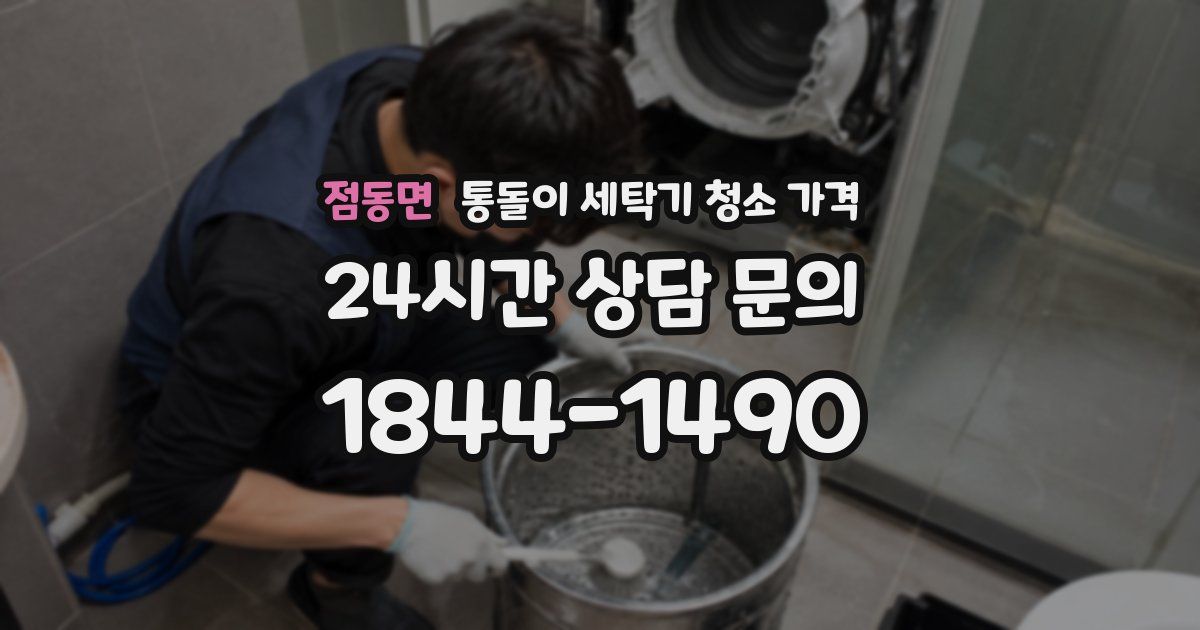 점동면 통돌이 세탁기 청소 가격