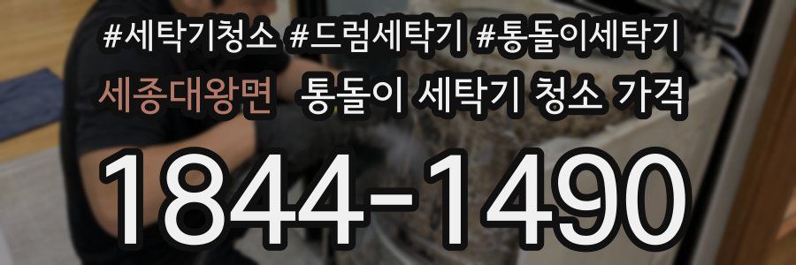 세종대왕면 통돌이 세탁기 청소 가격
