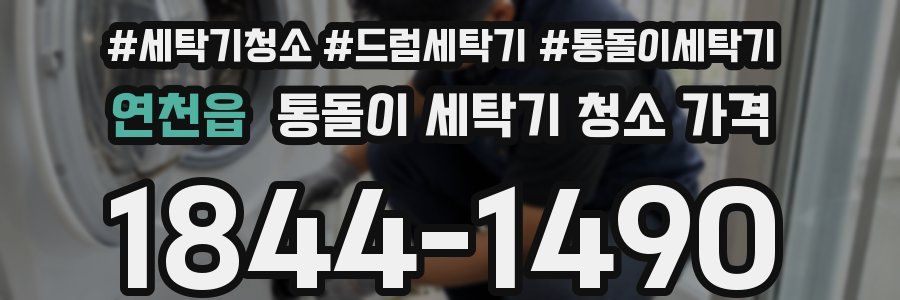 연천읍 통돌이 세탁기 청소 가격
