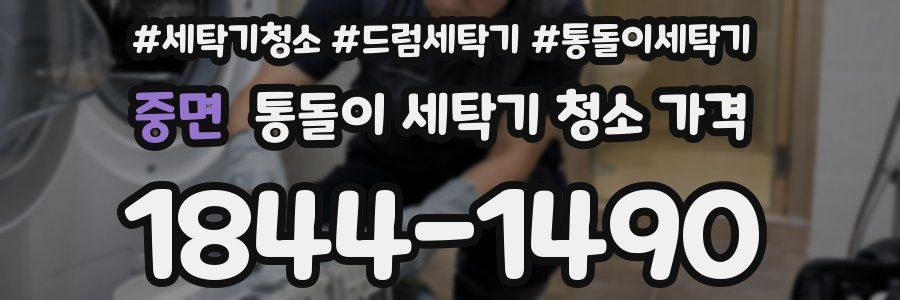 중면 통돌이 세탁기 청소 가격