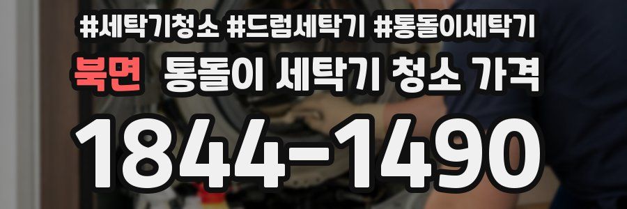 북면 통돌이 세탁기 청소 가격