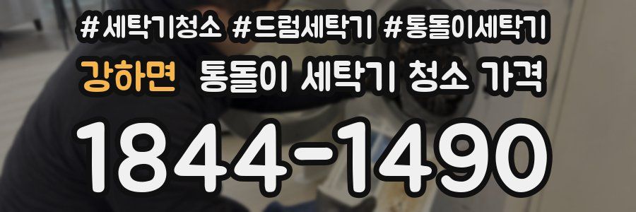 강하면 통돌이 세탁기 청소 가격