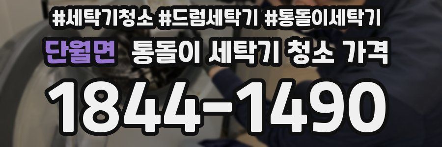 단월면 통돌이 세탁기 청소 가격