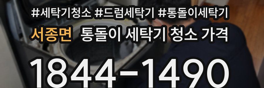 서종면 통돌이 세탁기 청소 가격