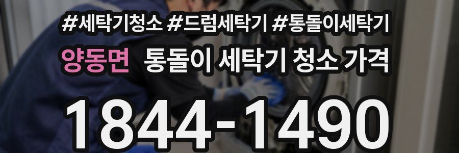양동면 통돌이 세탁기 청소 가격