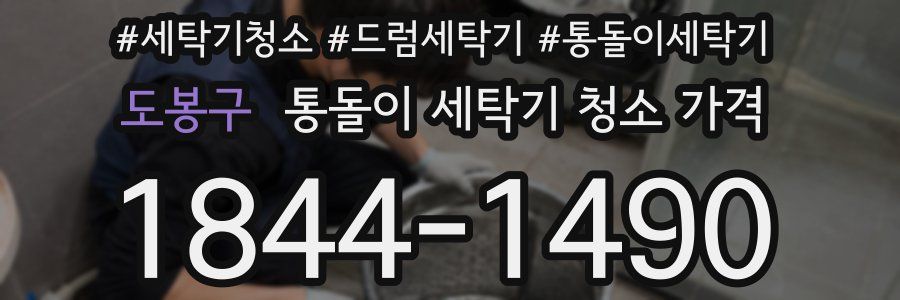 도봉구 통돌이 세탁기 청소 가격