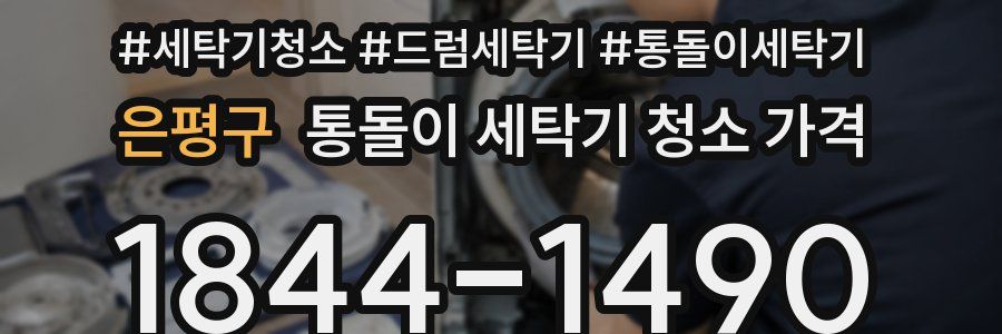 은평구 통돌이 세탁기 청소 가격
