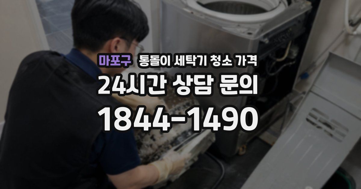 마포구 통돌이 세탁기 청소 가격