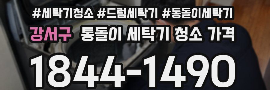 강서구 통돌이 세탁기 청소 가격