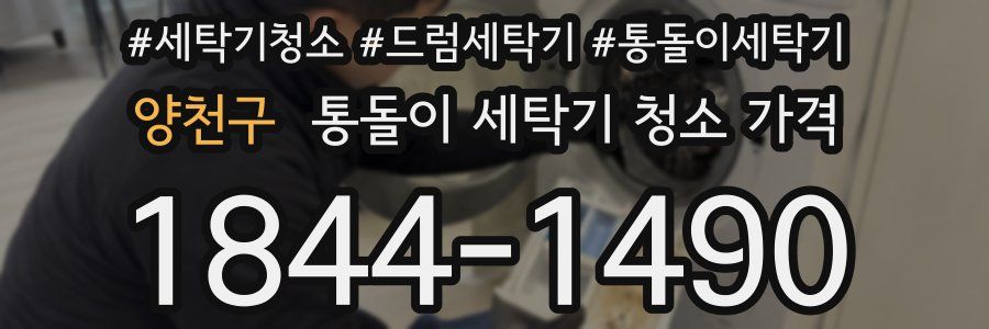 양천구 통돌이 세탁기 청소 가격