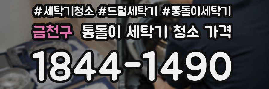 금천구 통돌이 세탁기 청소 가격