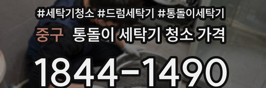 중구 통돌이 세탁기 청소 가격