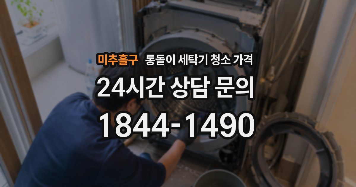 미추홀구 통돌이 세탁기 청소 가격