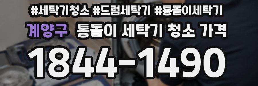 계양구 통돌이 세탁기 청소 가격