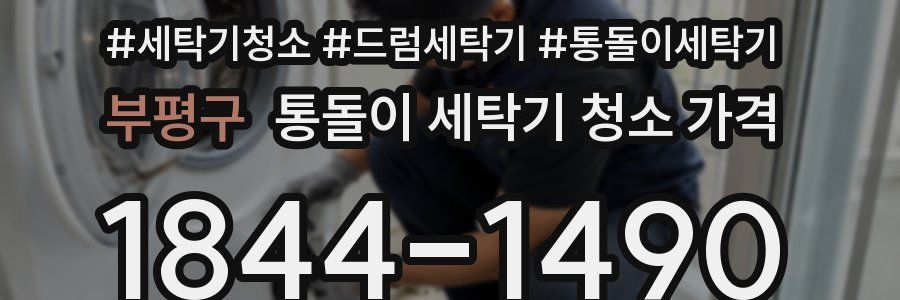 부평구 통돌이 세탁기 청소 가격