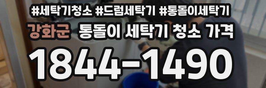 강화군 통돌이 세탁기 청소 가격