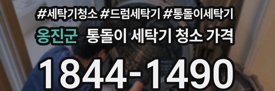 옹진군 통돌이 세탁기 청소 가격