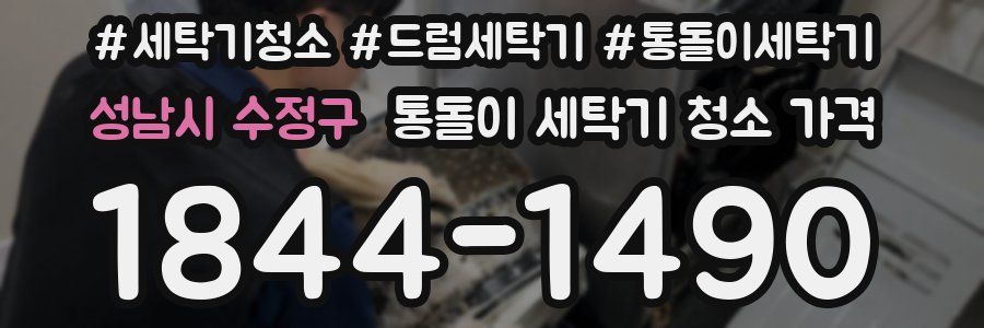 성남시 수정구 통돌이 세탁기 청소 가격