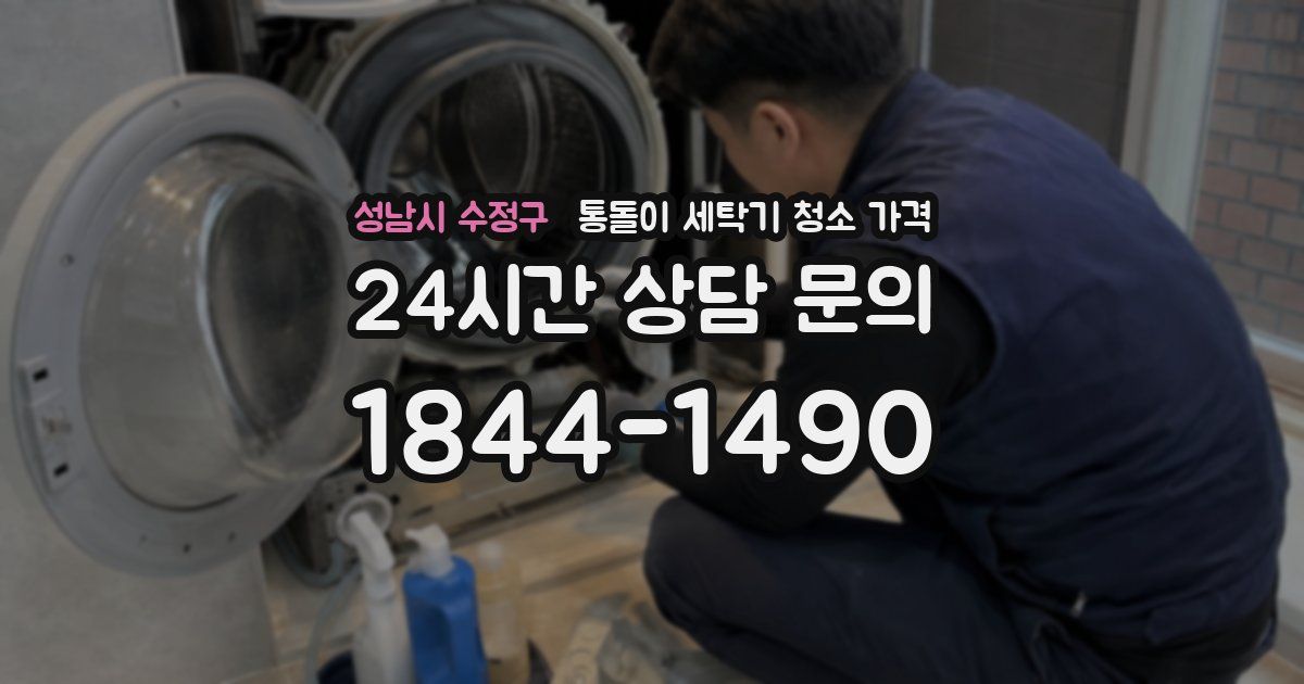 성남시 수정구 통돌이 세탁기 청소 가격