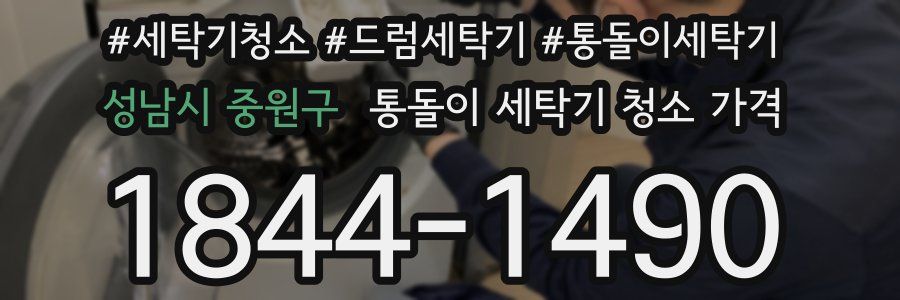 성남시 중원구 통돌이 세탁기 청소 가격