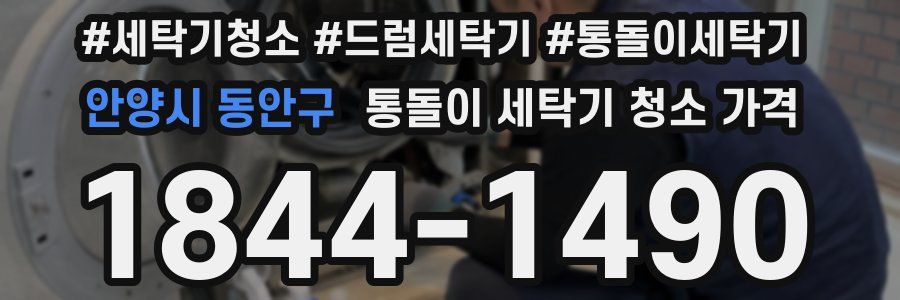 안양시 동안구 통돌이 세탁기 청소 가격