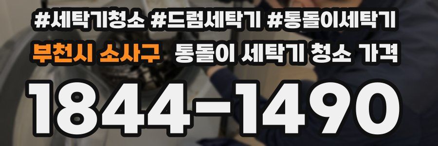 부천시 소사구 통돌이 세탁기 청소 가격