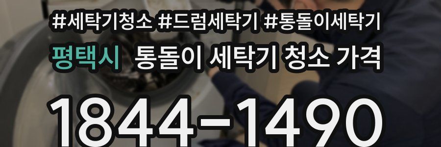 평택시 통돌이 세탁기 청소 가격