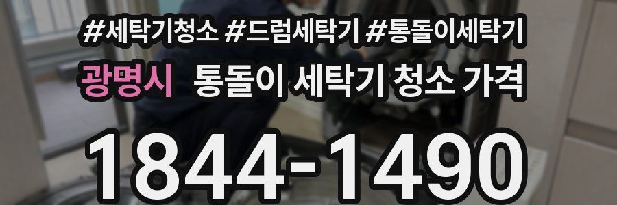 광명시 통돌이 세탁기 청소 가격