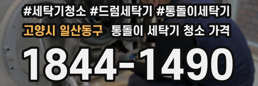 고양시 일산동구 통돌이 세탁기 청소 가격