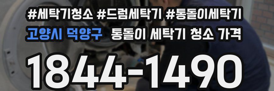 고양시 덕양구 통돌이 세탁기 청소 가격