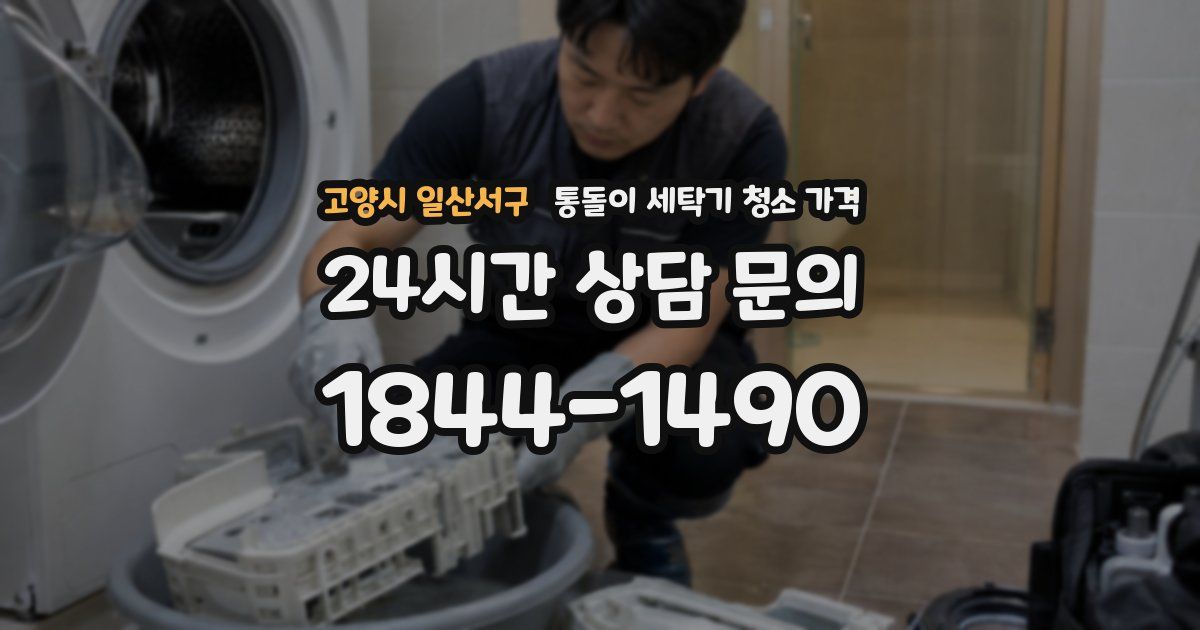 고양시 일산서구 통돌이 세탁기 청소 가격