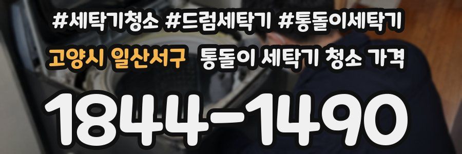 고양시 일산서구 통돌이 세탁기 청소 가격