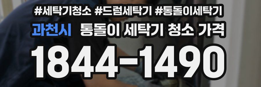 과천시 통돌이 세탁기 청소 가격