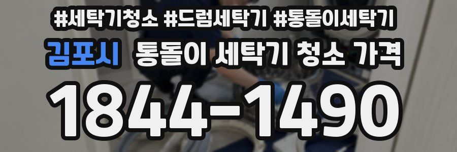 김포시 통돌이 세탁기 청소 가격
