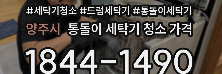 양주시 통돌이 세탁기 청소 가격