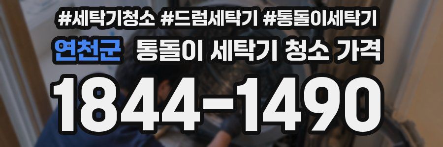 연천군 통돌이 세탁기 청소 가격