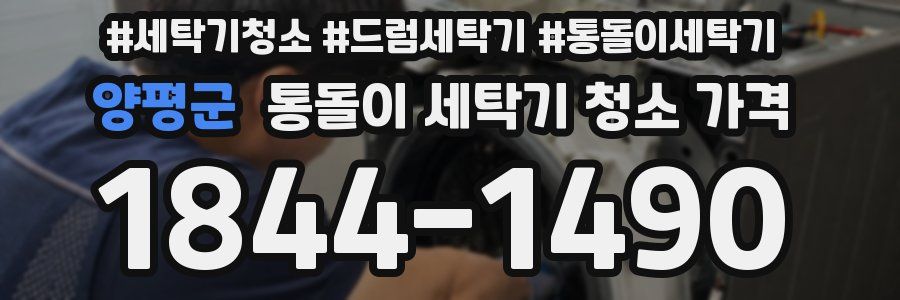 양평군 통돌이 세탁기 청소 가격