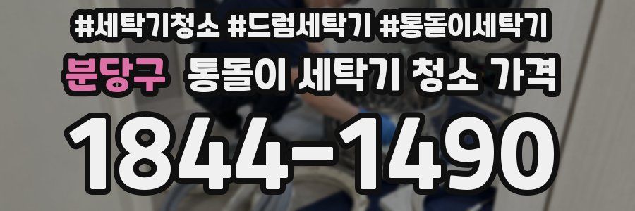분당구 통돌이 세탁기 청소 가격