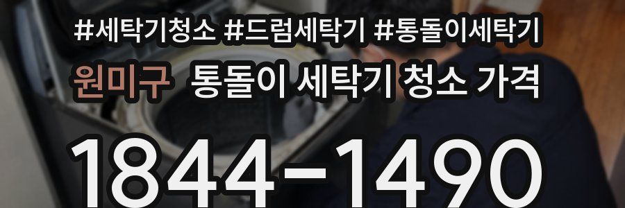 원미구 통돌이 세탁기 청소 가격