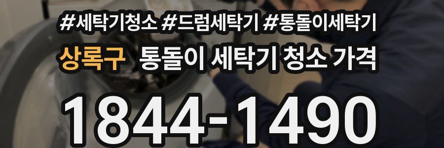 상록구 통돌이 세탁기 청소 가격