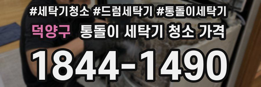 덕양구 통돌이 세탁기 청소 가격