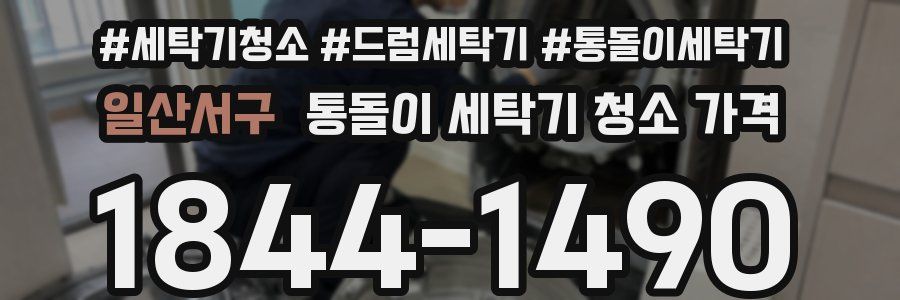 일산서구 통돌이 세탁기 청소 가격