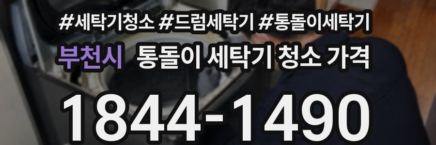 부천시 통돌이 세탁기 청소 가격