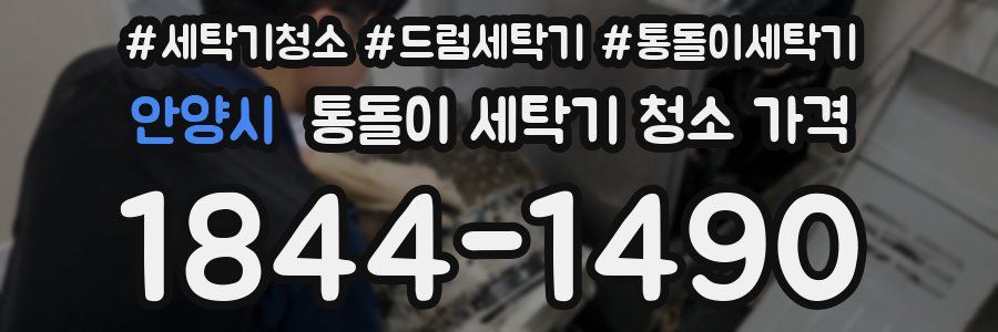 안양시 통돌이 세탁기 청소 가격