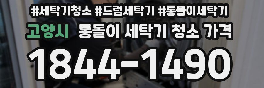 고양시 통돌이 세탁기 청소 가격